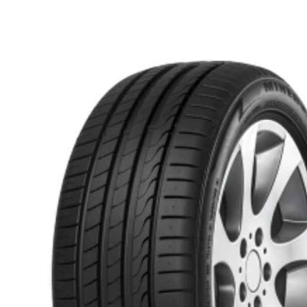 255/40R19 100Y XL Minerva F205