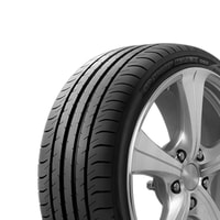 225/45R17 91W Dunlop Sport Maxx 050