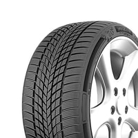225/45R17 94V XL Milestone Carmile Winter