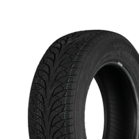 195/65R15 91H Kinforest Snow Paw