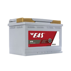12V 60Ah EAS Akü Activ A Ford R+