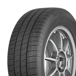 205/55R16 91V Goodyear Efficientgrip Performance Oem