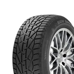 225/50R17 98V XL Riken Snow M+S