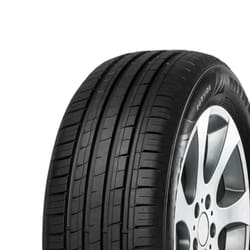 205/70R14 95T Minerva F209