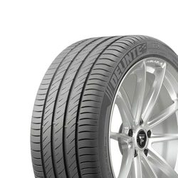 205/50R17 93W XL Delinte Ds2 M+S