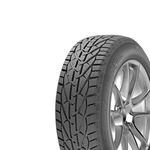 225/55R17 101H XL Winter M+S 3PMSF