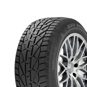 245/45R18 100V XL Riken Snow M+S