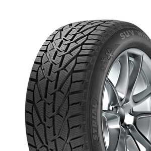 225/60R17 103V XL Taurus Suv Winter